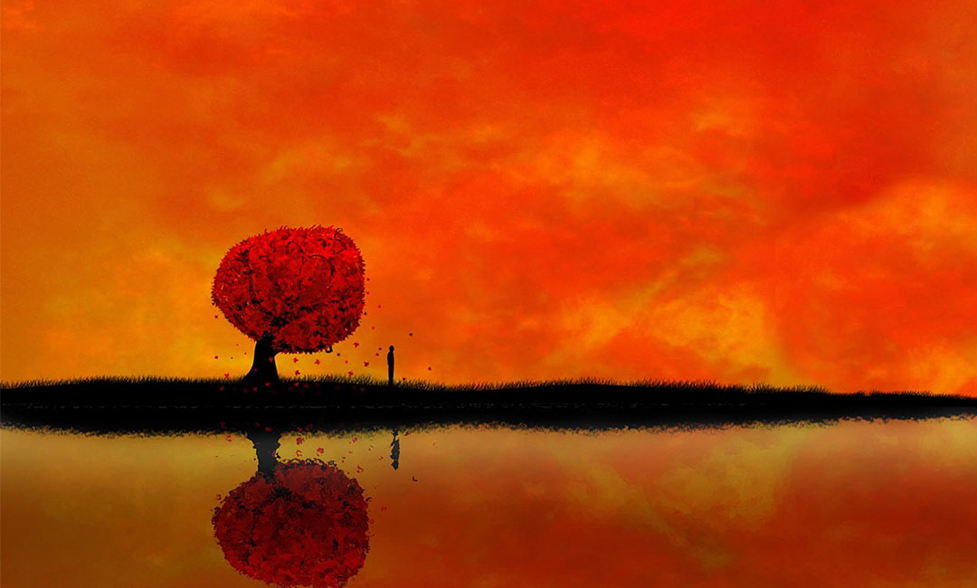 宁德笙影微信朋友圈转发案例